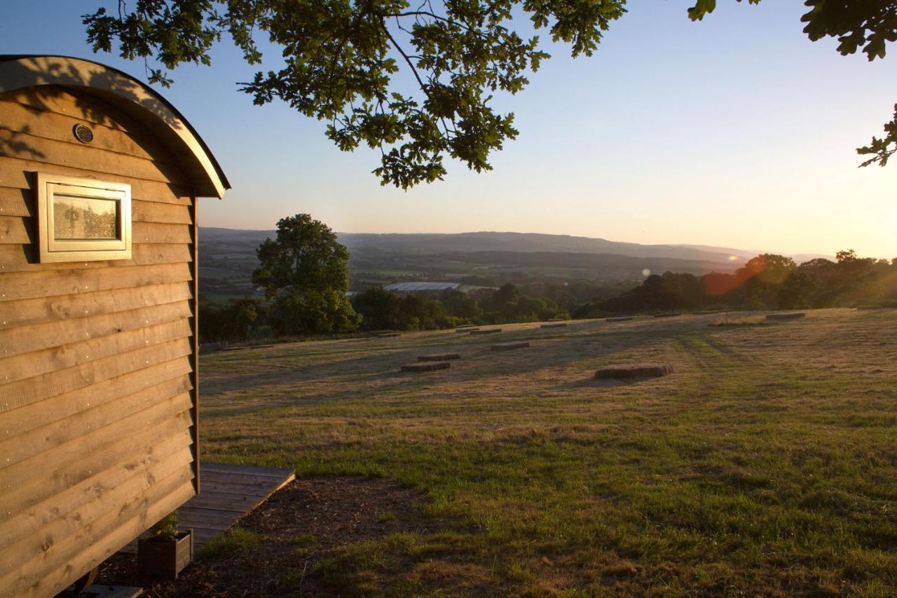 Tilbury Shepherd Huts With Hot Tubs Plus Holiday Cottages West Bagborough Esterno foto